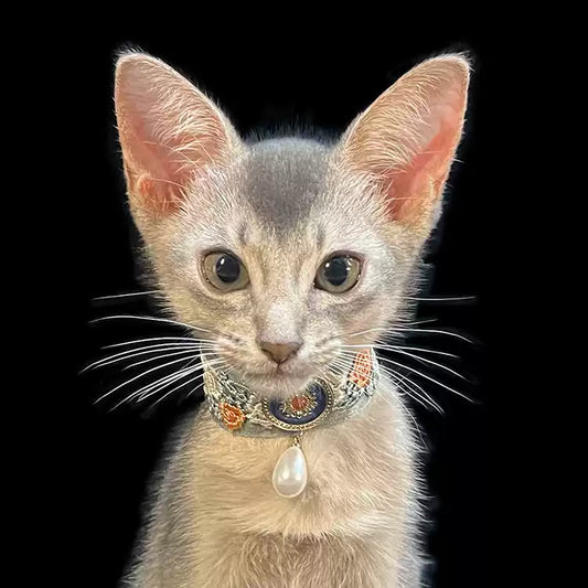 /Dreamy Oil-Painting/ Royal Court Pet Collar & Vintage Cat Necklace – Original High-End Photo Accessories for Cats & Dogs