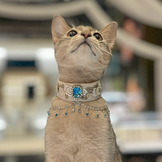/Moonlight Deep Blue/ Pet Decorative Necklace, Cat Scarf, Dog Collar, Cat Bandana, Pet Apparel (for Photography)