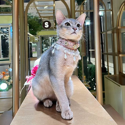 /Flower Waltz & Fireflies/ Devon Rex & Abyssinian Cat Necklace, Dog Collar & Cat Scarf – Pet Photo Props