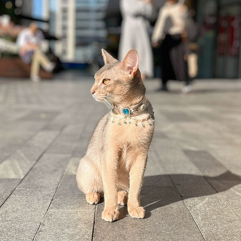 /Moonlight Deep Blue/ Pet Decorative Necklace, Cat Scarf, Dog Collar, Cat Bandana, Pet Apparel (for Photography)