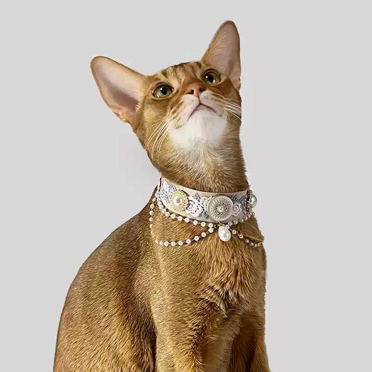 /Lotte Coco/ Royal Court Cat Collar & Vintage Pet Necklace – Original Photo Jewelry & Accessories for Cats & Dogs