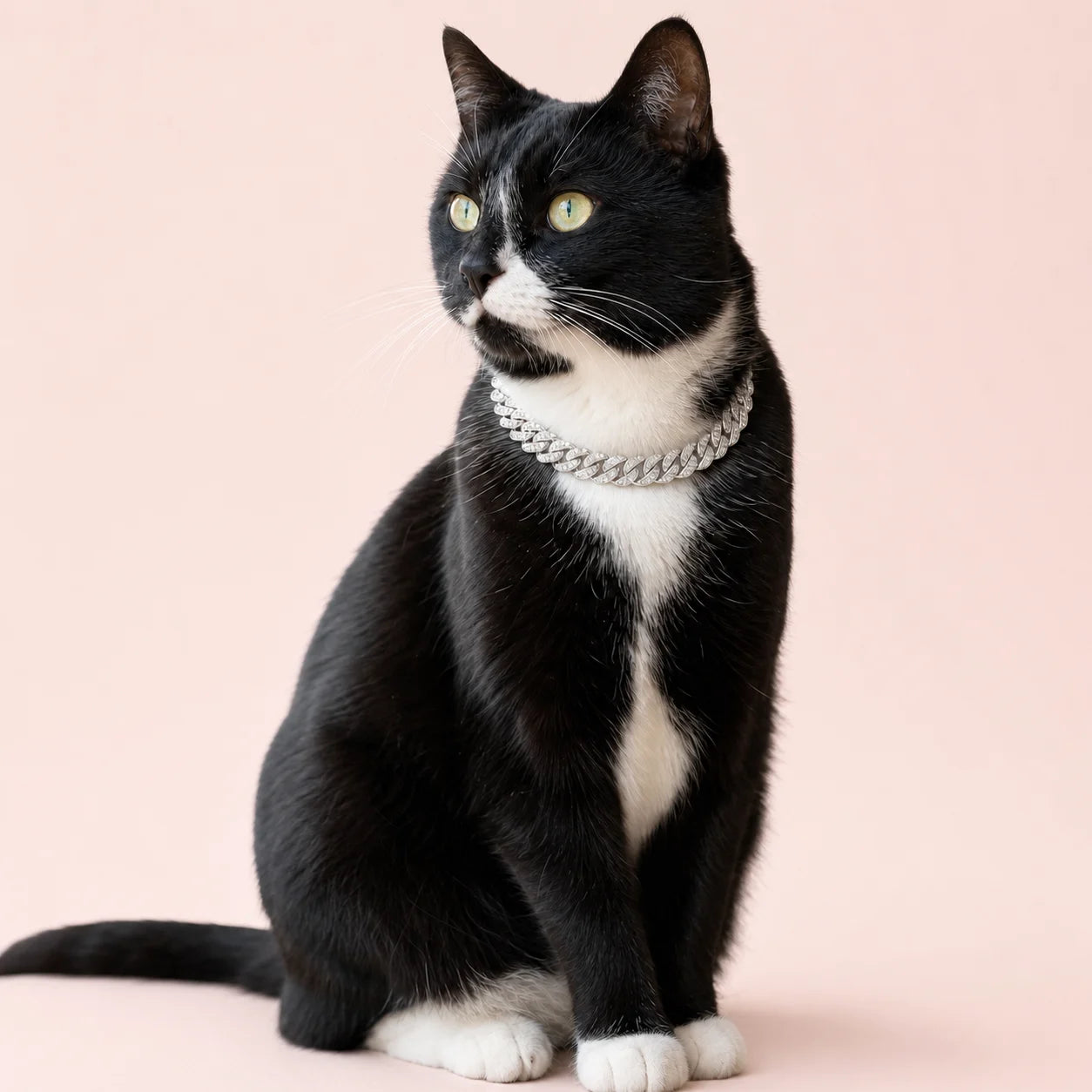 Nebula Iced Cuban Statement Pet Necklace shown on a pet