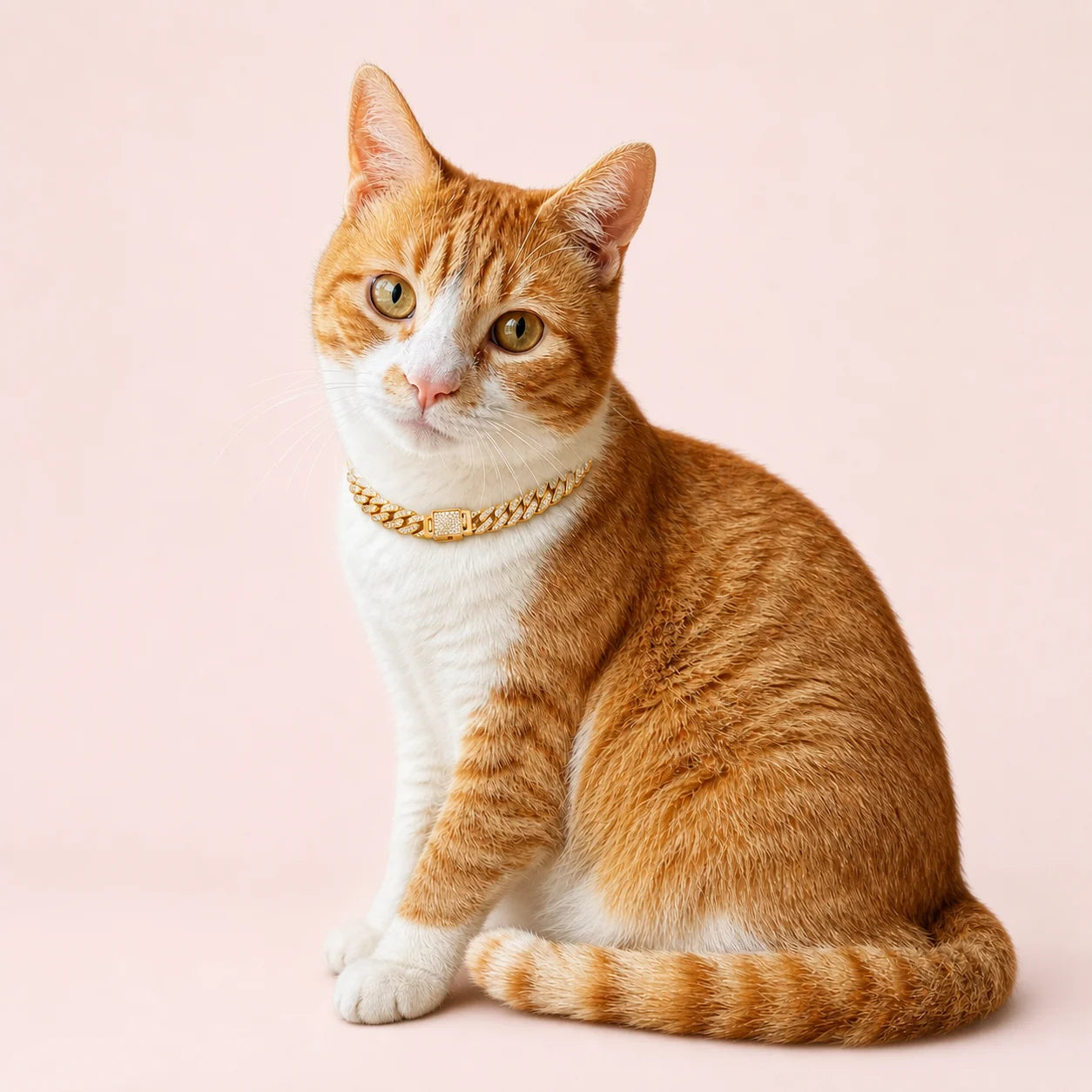 Mini Iced 12mm Cuban Pet Necklace shown on a pet