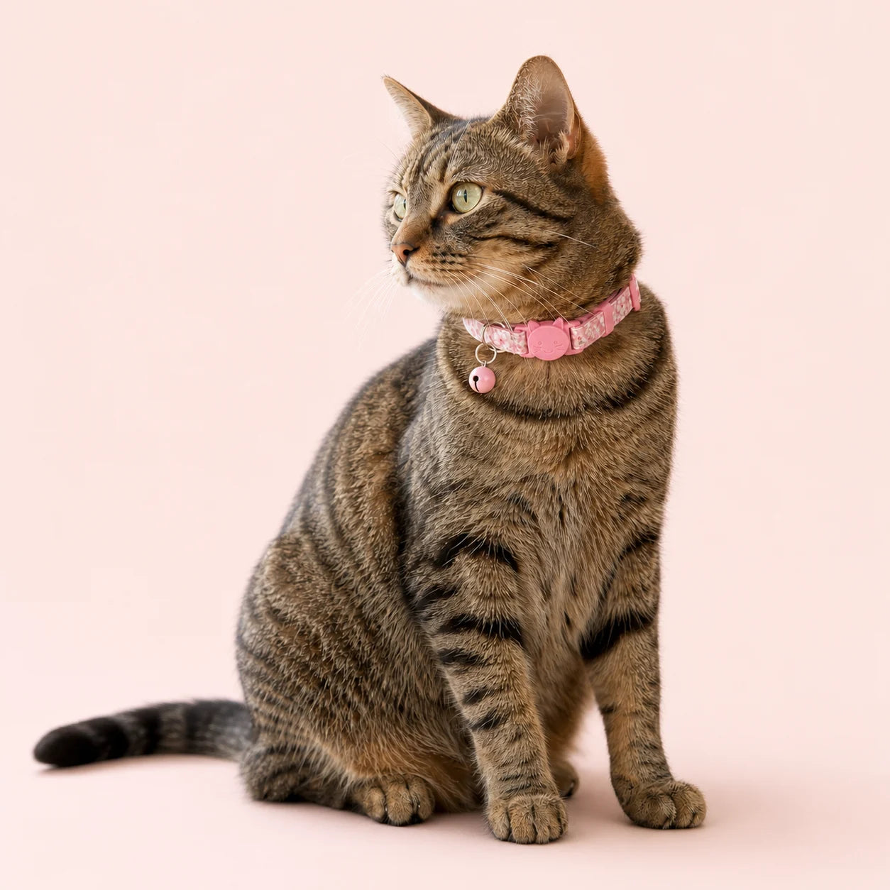 Sakura Bloom Floral Breakaway Cat Collar shown on a pet