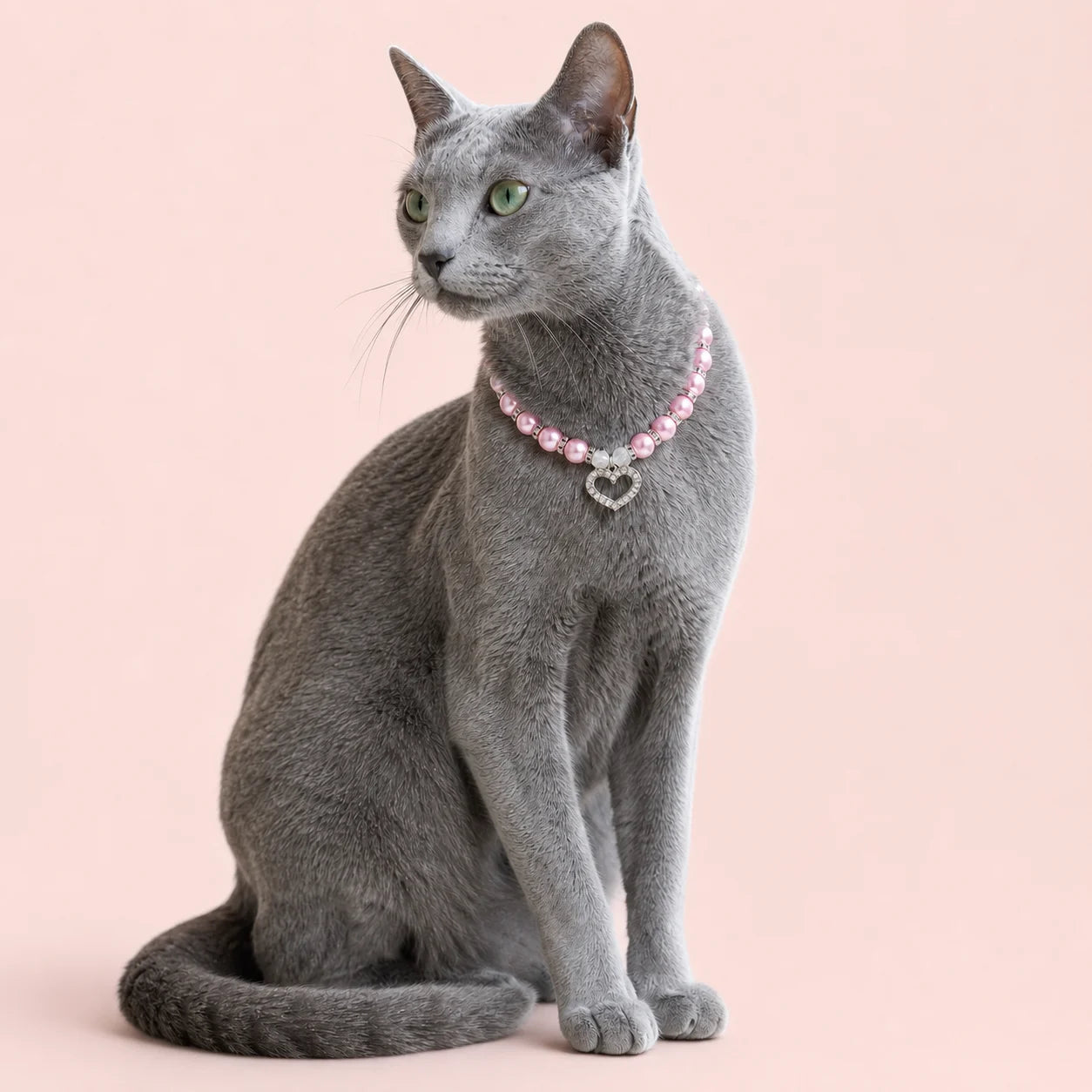 Aurora Heart Beaded Pet Necklace shown on a pet