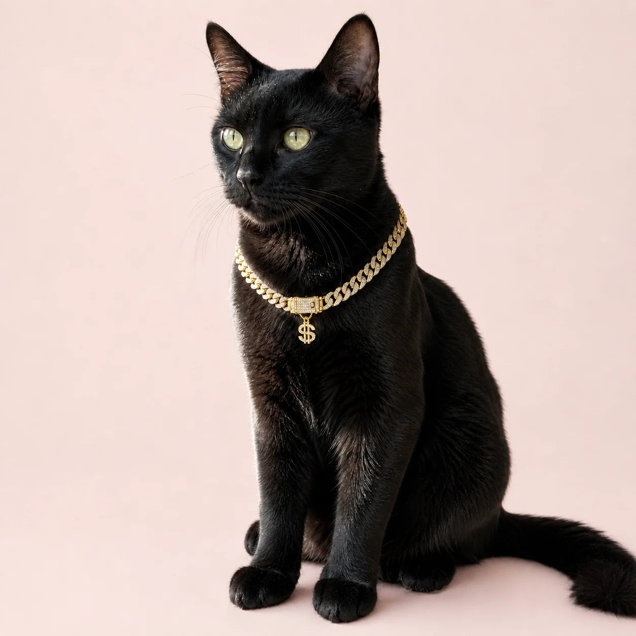 Tiny Boss Dollar Charm Cuban Pet Necklace shown on a pet